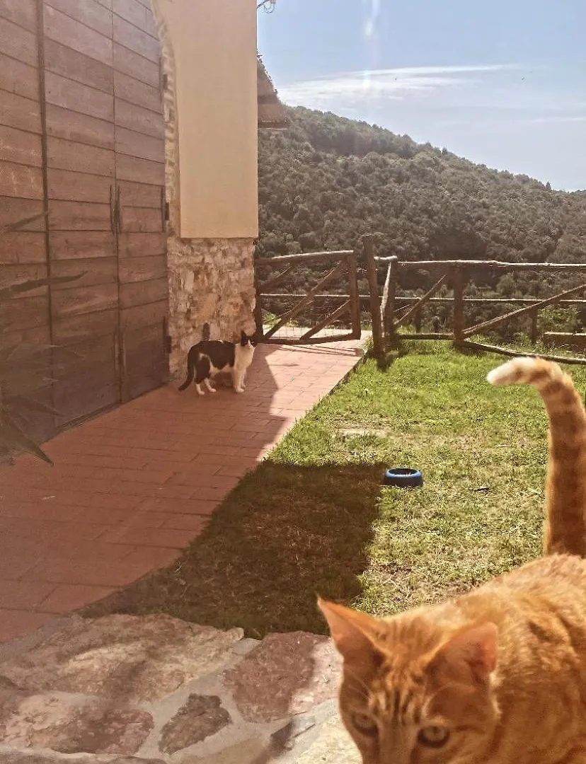 Bed & Breakfast Bed and Breakfast La Casa Stregatta Sassetta